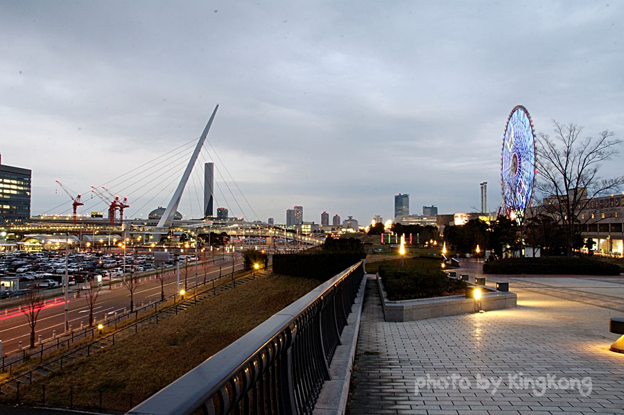 Odaiba 66.jpg - Night Shot